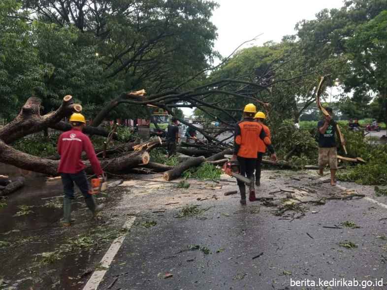 BPBD Kabupaten Kediri Melaksanakan Penanganan Pohon Tumbang di Beberapa Titik di wilayah Kecamatan Ngasem Akibat Cuaca Ekstrim