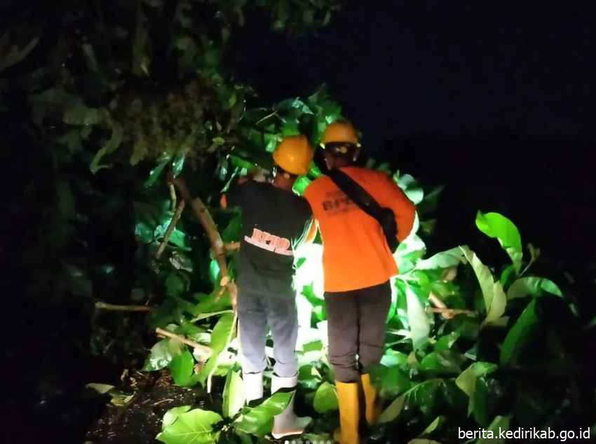 BPBD Kabupaten Kediri Melaksanakan Observasi dan Penanganan Pohon Roboh di Wilayah Desa Badal Kecamatan Ngadiluwih.
