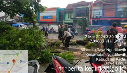 BPBD Kabupaten Kediri Melaksanakan Pemotongan dan Pembersihan Lokasi Pohon Tumbang Di Kecamatan Ngadiluwih.