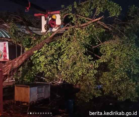 BPBD Kabupaten Kediri Melaksanakan Penanganan Banyaknya Pohon Tumbang Akibat Cuaca Ekstrim di Wilayah Kecamatan Pare, Badas, Kepung, dan Kandangan.