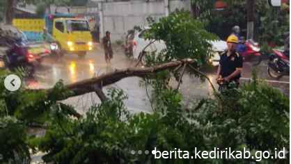 BPBD Kabupaten Kediri Melaksanakan Evakuasi Pohon Tumbang di Jalan Raya Paron Kecamatan Ngasem.